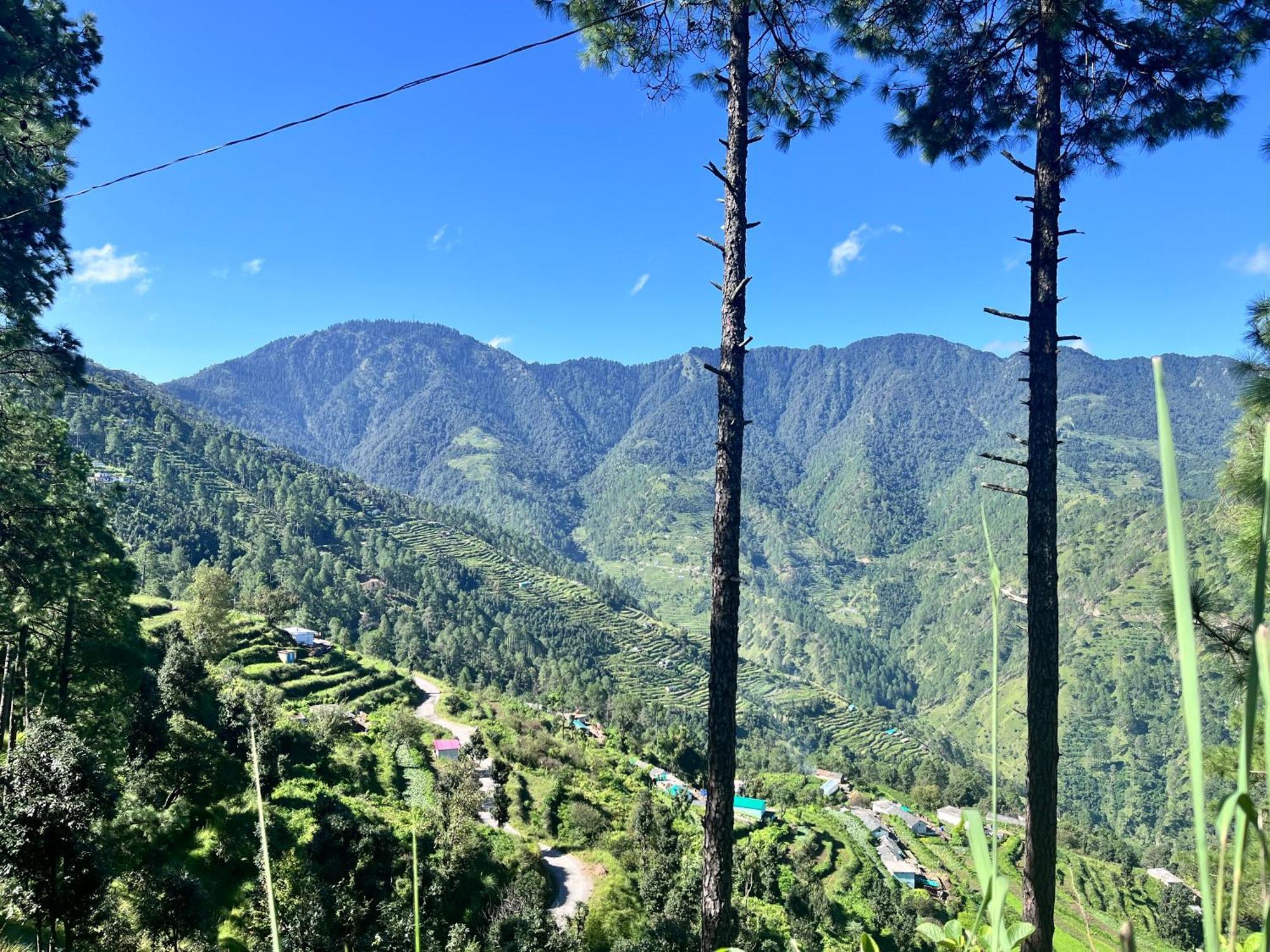 Himalayan Hill Top Resort Kanatal Buitenkant foto