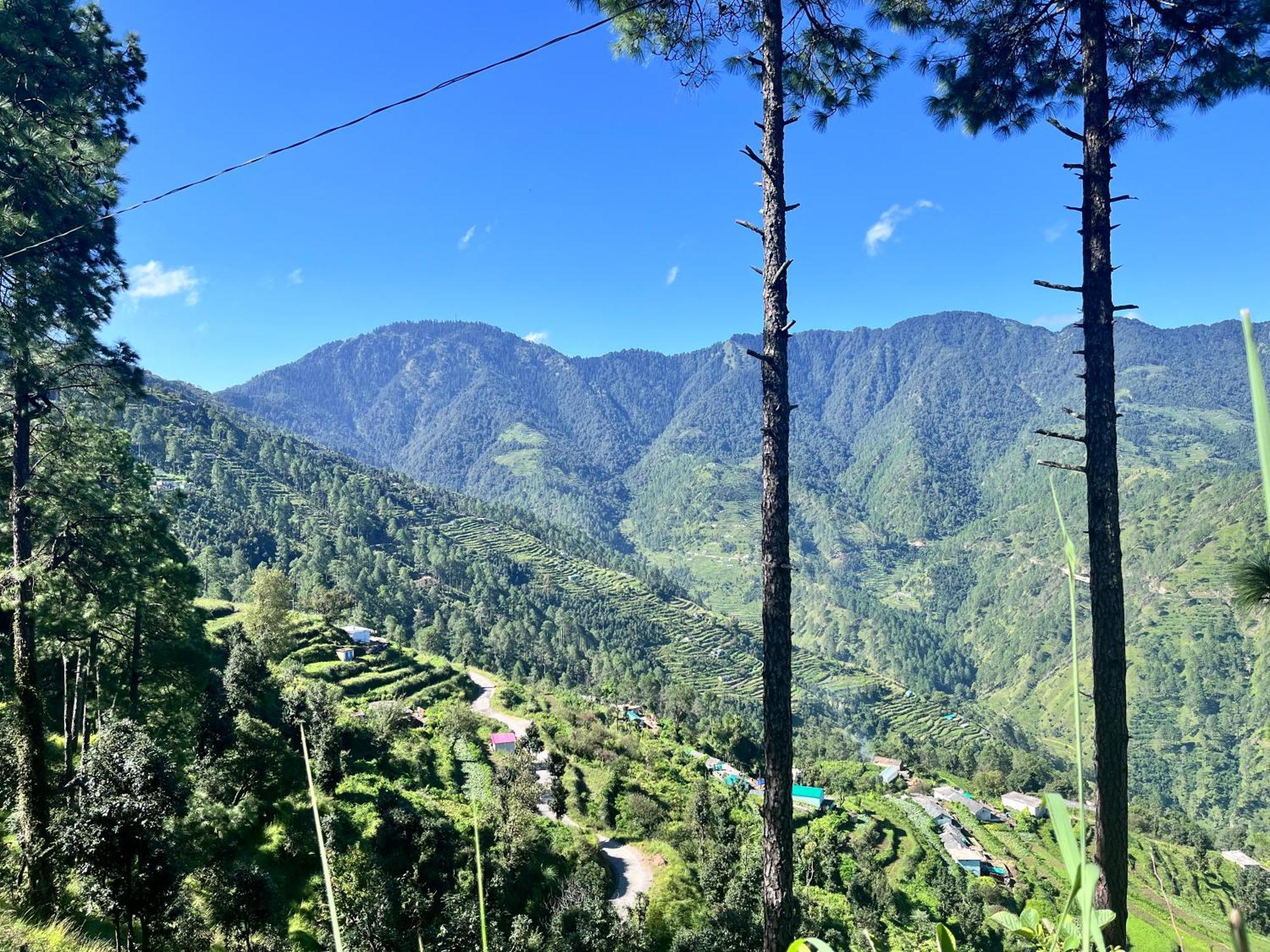 Himalayan Hill Top Resort Kanatal Buitenkant foto